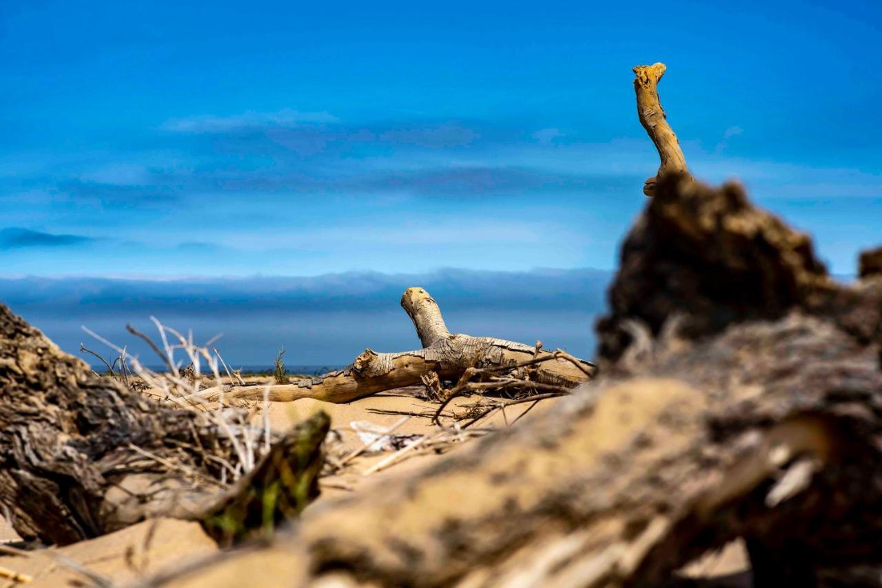 Shipwreck Lodge Mowebaai Экстерьер фото